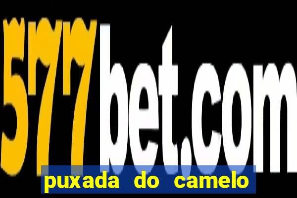 puxada do camelo no jogo do bicho